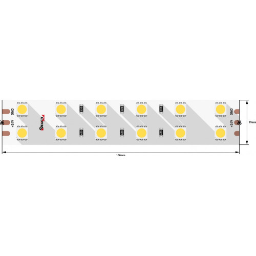 Светодиодная лента LUX DSG5120-24-W+WW-33