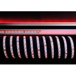 Светодиодная лента SMD5050 840236