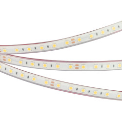 Светодиодная лента герметичная RTW-PFS-B60-13mm 24V Cool 10K (14.4 W/m, IP68, 5060, 5m) (Arlight, 14.4 Вт/м, IP68) 036443