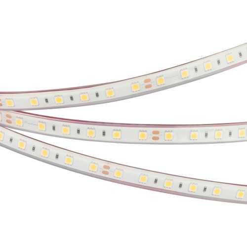 Светодиодная лента герметичная RTW-PFS-B60-13mm 24V Cool 10K (14.4 W/m, IP68, 5060, 5m) (Arlight, 14.4 Вт/м, IP68) 036443