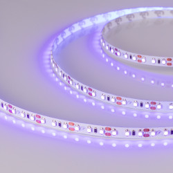 Светодиодная лента RT-A120-8mm 12V UV400 (9.6 W/m, IP20, 2835, 5m) (Arlight, Открытый) 012812(2)