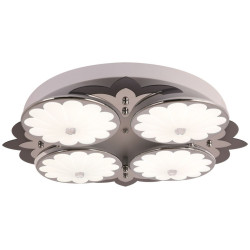 Потолочная светодиодная люстра LED SS1L 000019656