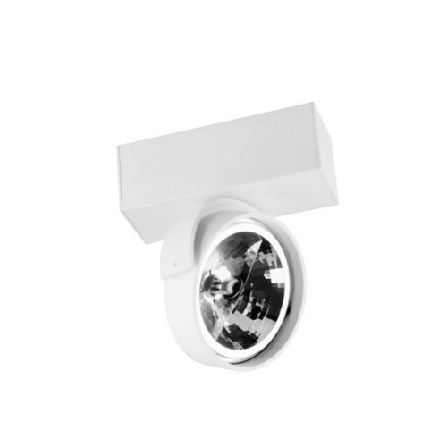 Настенно-потолочный светильник DL18407/11WW-White