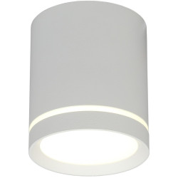 Накладной светильник Omnilux Capurso OML-102429-05