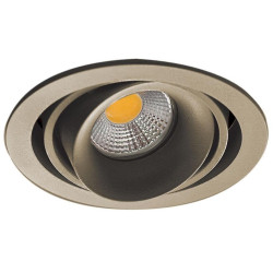 Точечный светильник DL18615 DL18615/01WW-R Champagne/Black