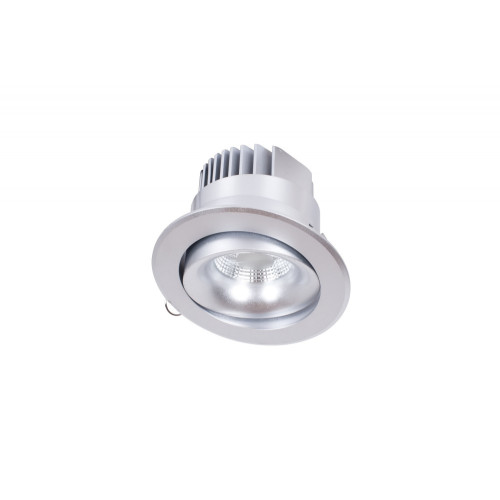 Встраиваемый светодиодный светильник DL18465/01WW-Silver R
