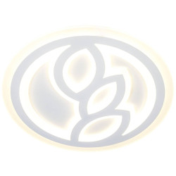 Потолочный светодиодный светильник SS1L 000024500