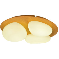Потолочный светодиодный светильник SS1L 000024980
