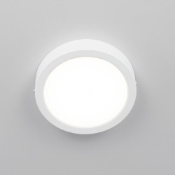 Потолочный светильник Citilux Галс CL5516N