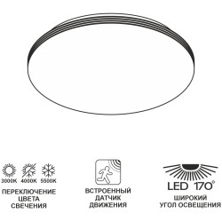 Потолочный светильник Симпла CL71424SV