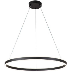 Подвесной светильник Galass V000036L (14001/1P Black)