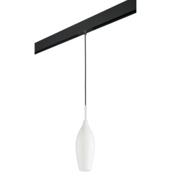 Трековый светильник однофазный 220V Lightstar Pentola PRO803020