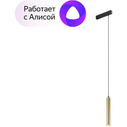 Трековый светильник однофазный Smart Spot DK8008-BG