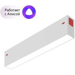 Трековый светильник светодиодный с управлением смартфоном и пультом Smart DK8003-WH