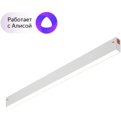 Трековый светильник светодиодный с управлением смартфоном и пультом Smart DK8005-WH
