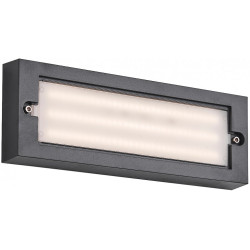 Настенный светильник уличный 30001 30001W/03 LED*6W IP65 Black