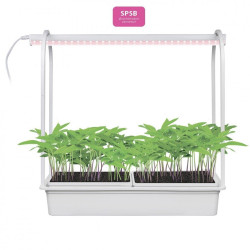 Светильник для растений светодиодный Minigarden ULT-P54-10W/SPSB IP20 White