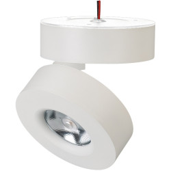 LED спот SP-MONA-SURFACE-R100-12W Warm3000 (WH, 24 deg) (Arlight, IP40 Металл, 3 года) 025440(1)