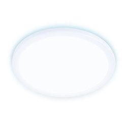 Встраиваемый светильник светодиодный Downlight DLR310