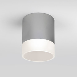Потолочный светильник уличный светодиодный Light LED 35140/H