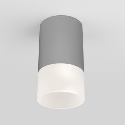 Потолочный светильник уличный светодиодный Light LED 35139/H