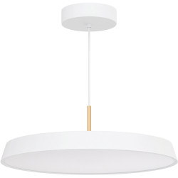 Подвесной светильник LED SP-ELEGANT-R500-37W Warm3000 (WH, 120 deg, 230V) (Arlight, IP20 Металл, 3 года) 033925