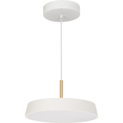 Подвесной светильник LED SP-ELEGANT-R300-17W Warm3000 (WH, 120 deg, 230V) (Arlight, IP20 Металл, 3 года) 033914
