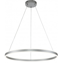 Подвесной светильник Galass V000018L (14001/1P Silver)