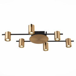 Потолочная люстра светодиодная Veroli SL1207.402.06