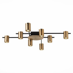Потолочная люстра светодиодная Veroli SL1207.402.08