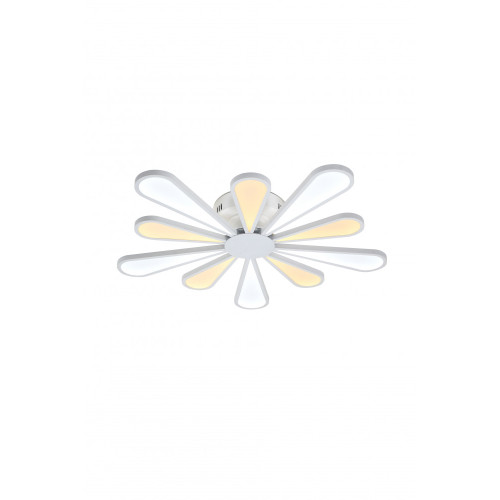 Потолочная светодиодная люстра Miracoli 202.10 LED