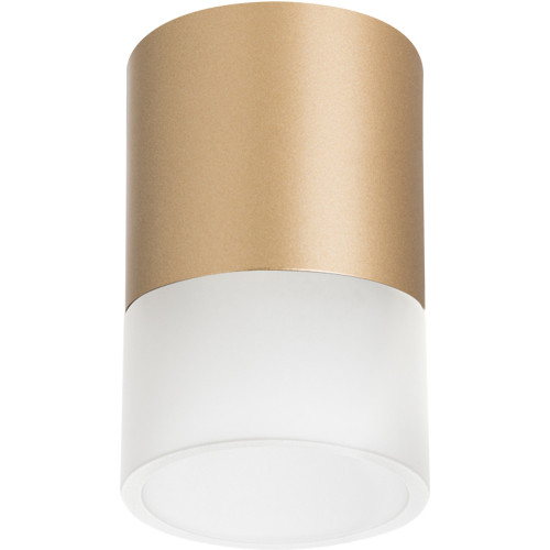 Светильник точечный накладной Lightstar Rullo R349081