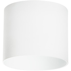 Светильник точечный накладной Lightstar Rullo 213486