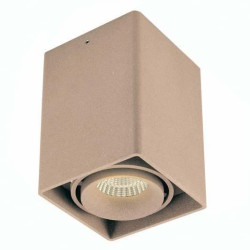 Точечный светильник DL18611 DL18611/01WW-SQ Champagne