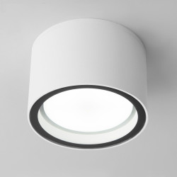 Потолочный светильник уличный Light 35144/H