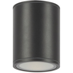 Потолочный светильник уличный Bar O306CL-L12GF