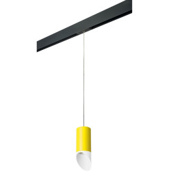 Трековый светильник однофазный 220V Lightstar Rullo PRORP43336