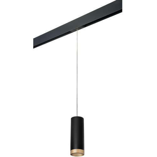 Трековый светильник однофазный 220V Lightstar Rullo PRORP48740