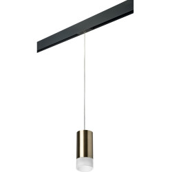 Трековый светильник однофазный 220V Lightstar Rullo PRORP43131