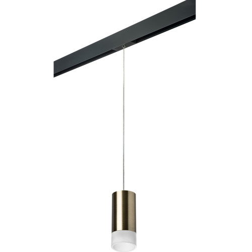 Трековый светильник однофазный 220V Lightstar Rullo PRORP43131