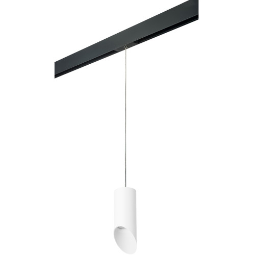 Трековый светильник однофазный 220V Lightstar Rullo PRORP43636
