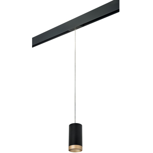Трековый светильник однофазный 220V Lightstar Rullo PRORP43740