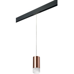 Трековый светильник однофазный 220V Lightstar Rullo PRORP43031