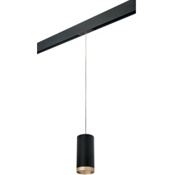 Трековый светильник однофазный 220V Lightstar Rullo PRORP648790
