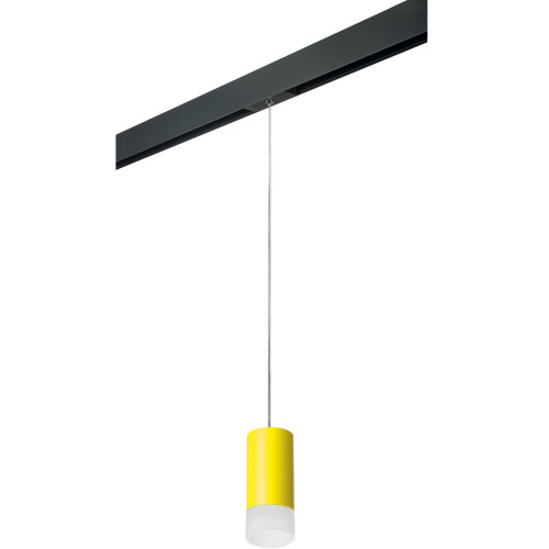 Трековый светильник однофазный 220V Lightstar Rullo PRORP43331