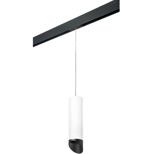 Трековый светильник однофазный 220V Lightstar Rullo PRORP649687
