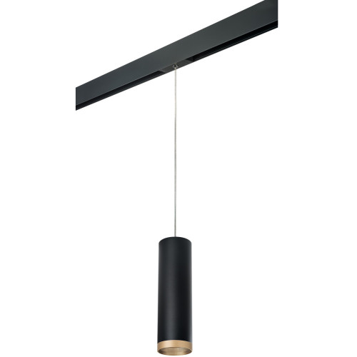 Трековый светильник однофазный 220V Lightstar Rullo PRORP649790