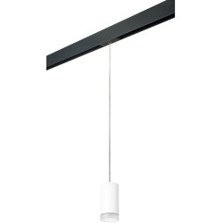 Трековый светильник однофазный 220V Lightstar Rullo PRORP43630