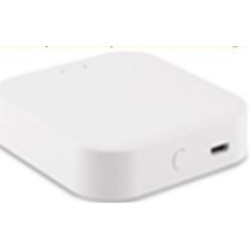 WI-FI конвертер для трековой системы Skyline 220 ST015.500.97