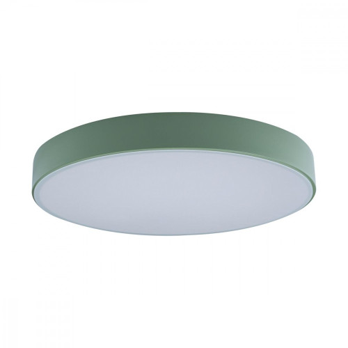 Потолочный светильник светодиодный Axel 10002/24 Green